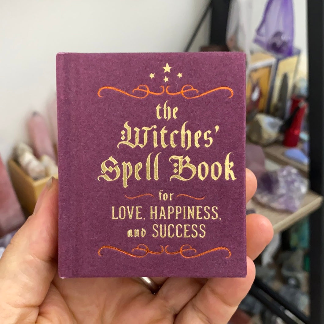 The witches spell book